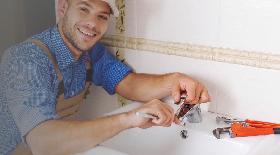 Professional Leak Detection Services services in Rice, MN